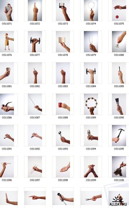 Just Hands | Руки и жесты