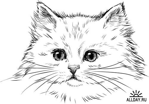 Чудесные котята #7 - Векторный клипарт