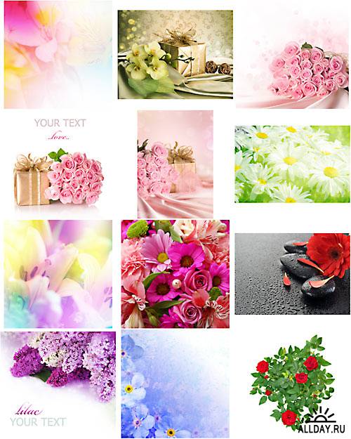 Цветочные композиции - растровый клипарт | Flower decorations