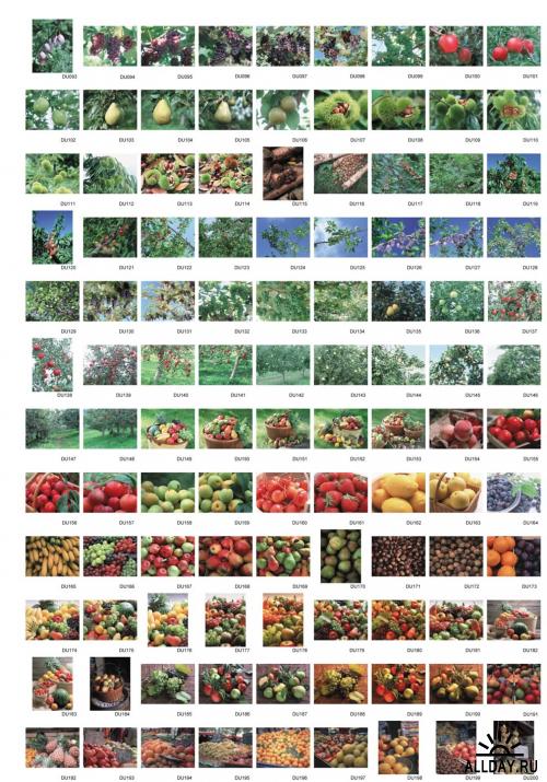 Datacraft Sozaijiten Vol. 092 - Abundant Harvest of Fruit