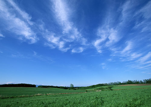 Sky and fields