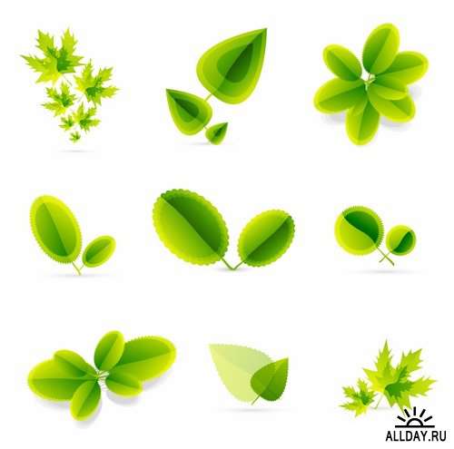 Векторные листья и природа  | Vector leaves and nature from stock - 25 Eps