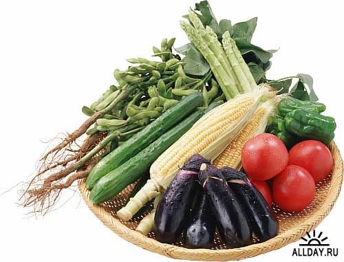 Stock photo -  сочные овощи, богатый урожай