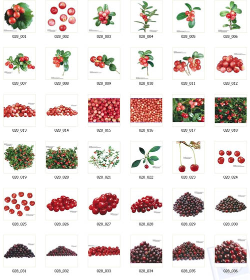 Berries | Ягоды