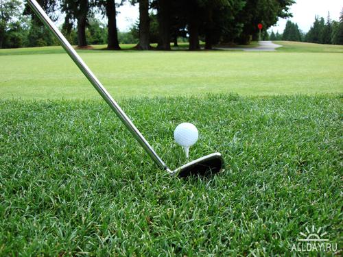 Golf ball - Мяч для гольфа