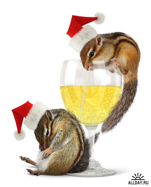 Животные на Рождество 2014 #1 - Растровый клипарт