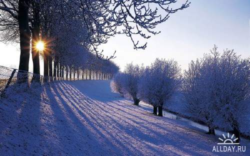 Подборка фото красивой зимней природы 3