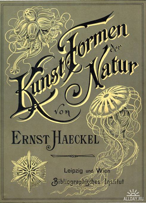 Эрнст Генрих Геккель “Kunstformen der Natur”