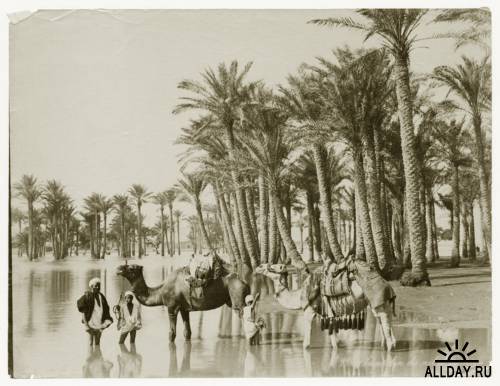 Египет и Сирия 1867-1925г