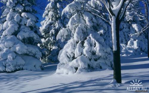 Winter Landscapes (№6)