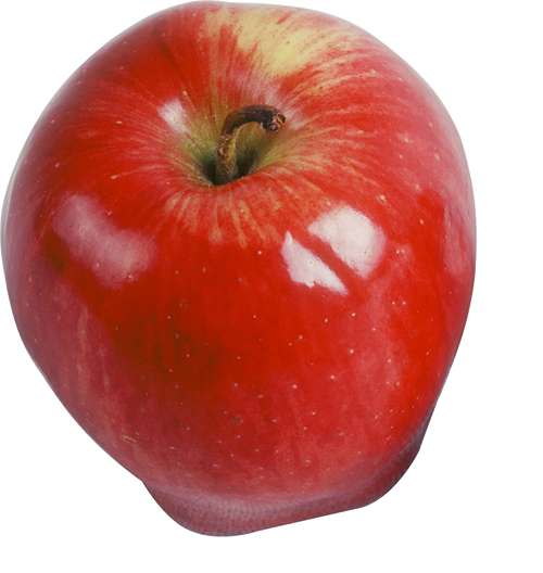 Мега-подборка изображений яблок (клипарт)