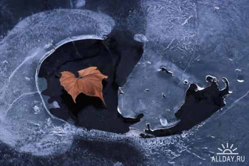 Клипарт - Осень и зима (50 шт., UHQ)