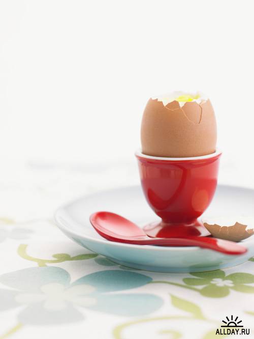 Eggs - Яйца