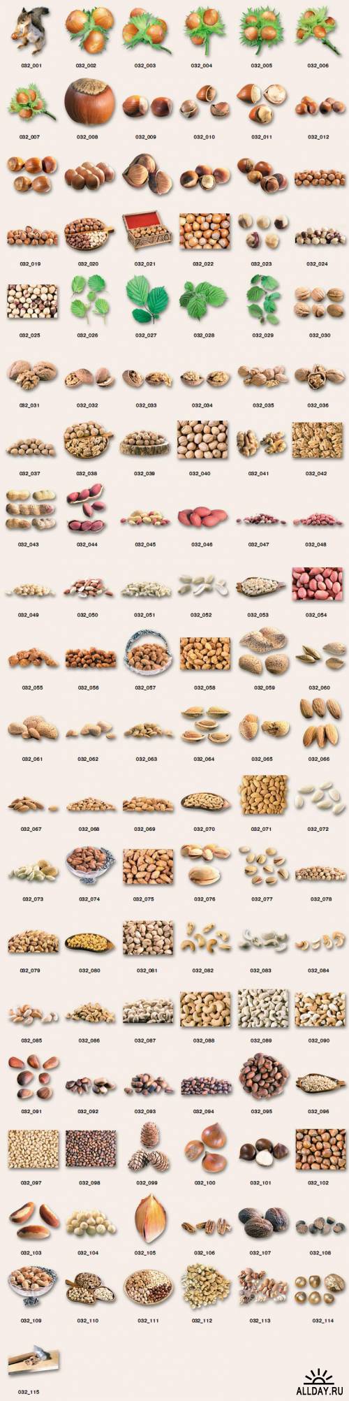 Орехи. Nuts