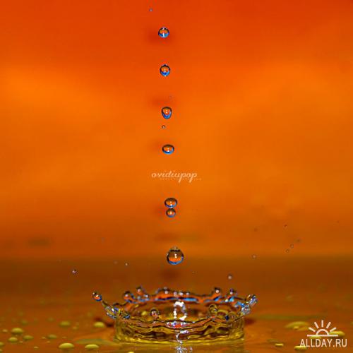 Works by ovidiupop. Milk&Water Drops