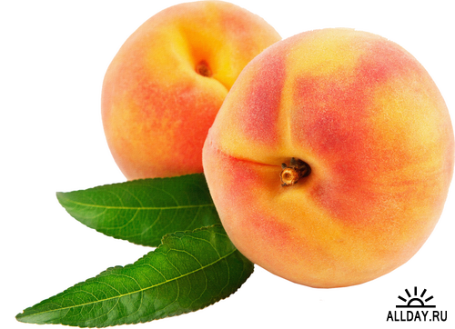 Fruits: Apricots and peaches