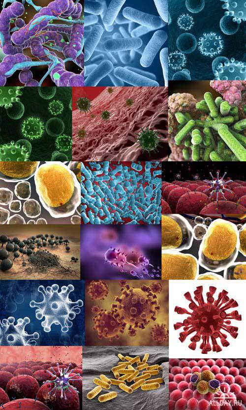 MICROORGANISMS & VIRUSES