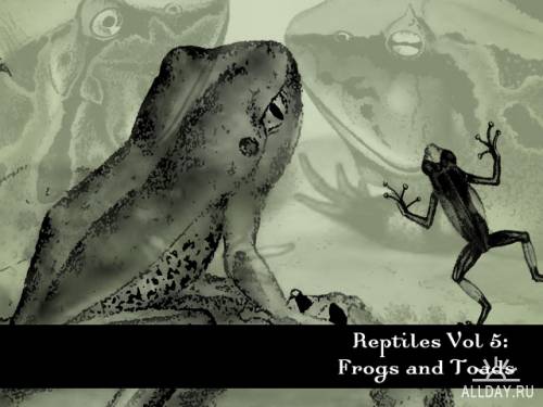 Кисти - Старинные иллюстрации Рептилий / Reptiles