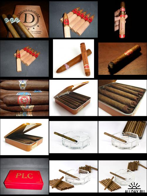 Cigars | Сигары