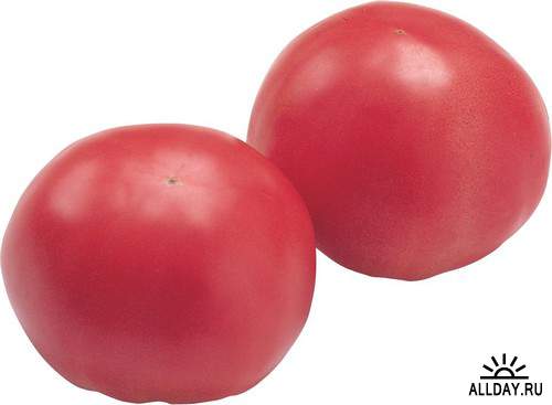Vegetable - tomatoes - love apple 5 | Овощи - помидоры 5
