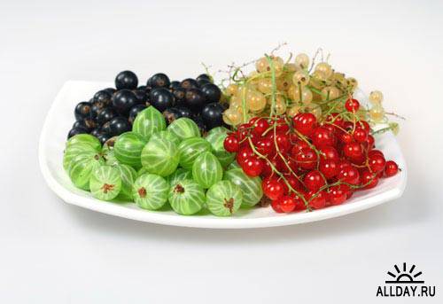 Stock Photo: Sweet berries | Сладкие ягоды