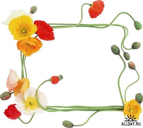 Floral Frame - cutouts 2 | Рамки - вырезы с цветами и листьями 2