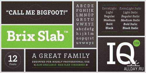 Brix Slab Font Family