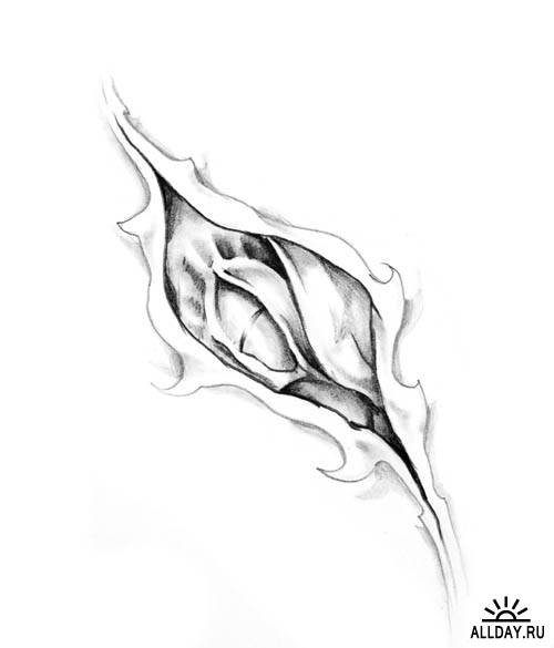 Драконы - искусство татуировки | Dragon tattoo art - UHQ Stock Photo