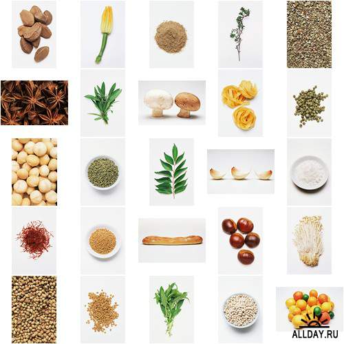 Image Source - IS-412 Raw Foods 2