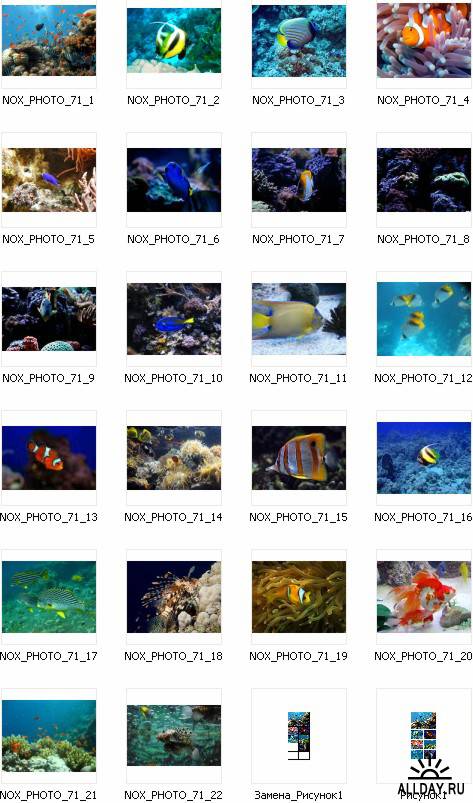 22 Fish Photos - Рыбки