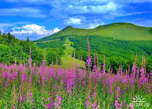 Весенние пейзажи - растровый клипарт | Spring landscape - UHQ Stock Photo