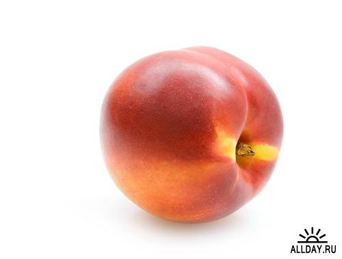 Fruits: Apricots and peaches