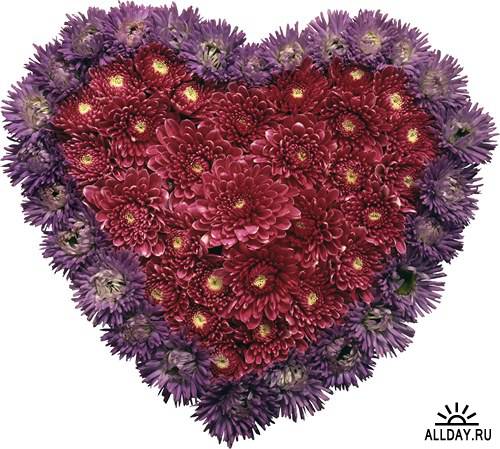 Фотосток: цветочное сердце