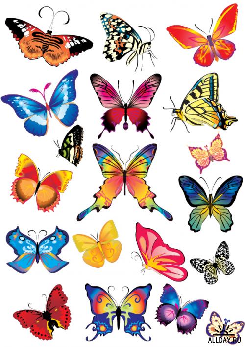Сборник бабочек в векторе