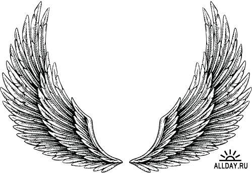 Birds wings graphics | Крылья - Набор графических элементов дизайна для коллажей