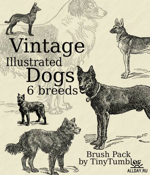 Кисти - Винтажные рисунки собак / Vintage Dog Brushpack