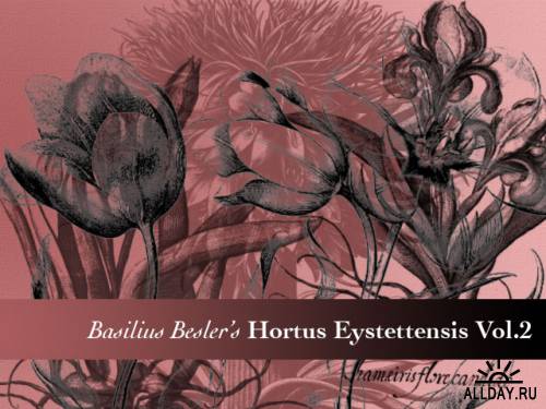 Basilius Besler's Hortus Photoshop Brushes