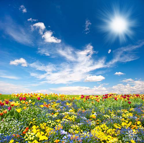Весенние пейзажи - растровый клипарт | Spring landscape - UHQ Stock Photo