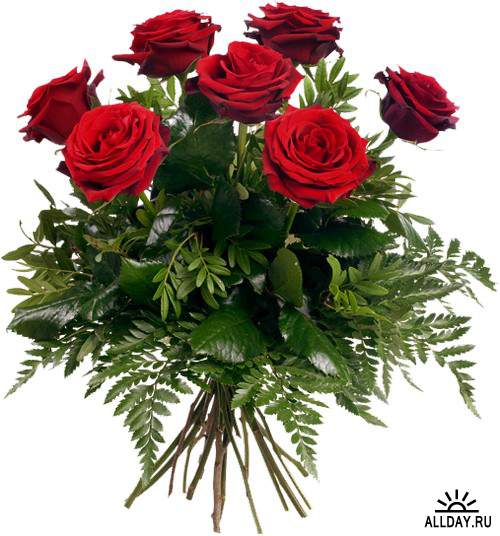 Bouquets of Red Roses Красные розы  - признание