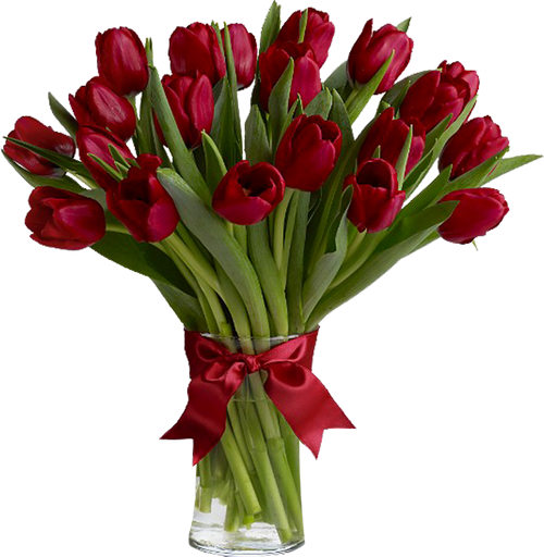 Red Tulips Красные тюльпаны... png