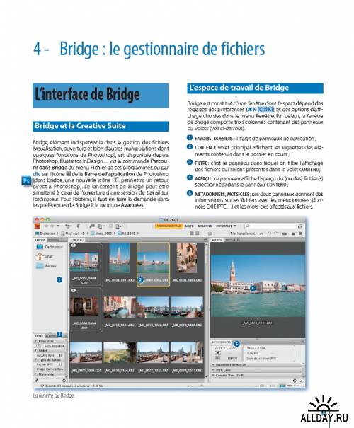 Photoshop CS5 pour PC et Mac (French Edition)
