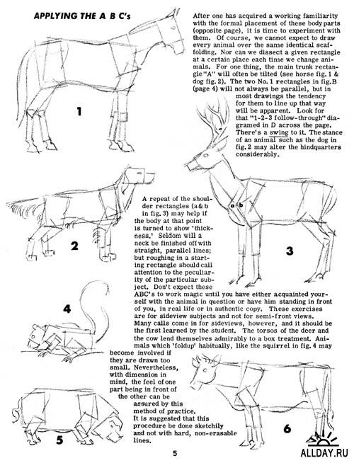 How to Draw Animals