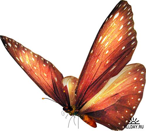 Клипарт - Бабочки (18 PSD файлов)