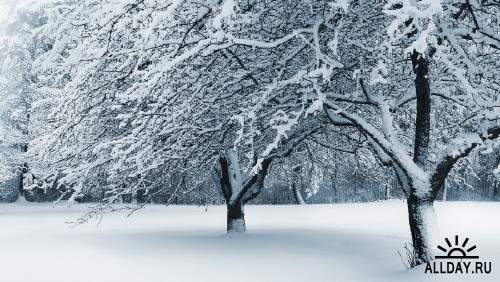 Подборка фото красивой зимней природы 3