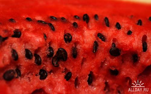 Fruits: watermelon | Фрукты: арбуз