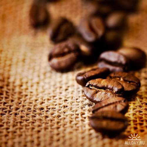 Coffee Collection | Кофейная коллекция - Высококачественный растровый клипарт. Photostock