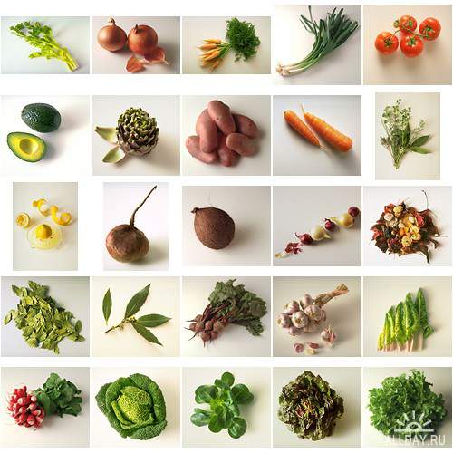 PhotoAlto - PA-001 Fruit & Vegetables