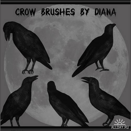 Bird Brushes by Diana Creations \ Кисти - птицы