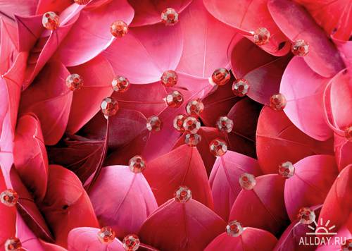 Цветочные фоны - растровый клипарт | Flower backgrounds - UHQ Stock Photo