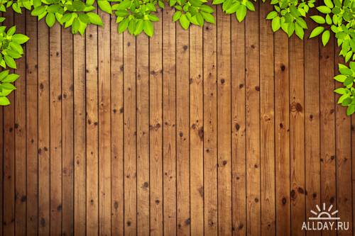 Деревянные фоны с листьями | Wooden background with leaves - UHQ Stock Photo